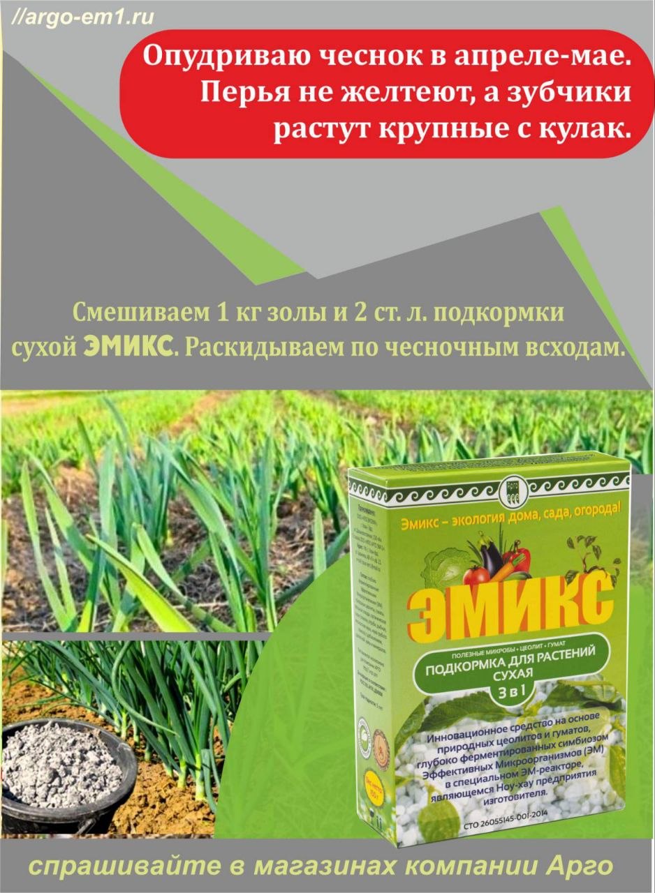 2.2Эмикс сухой.jpg