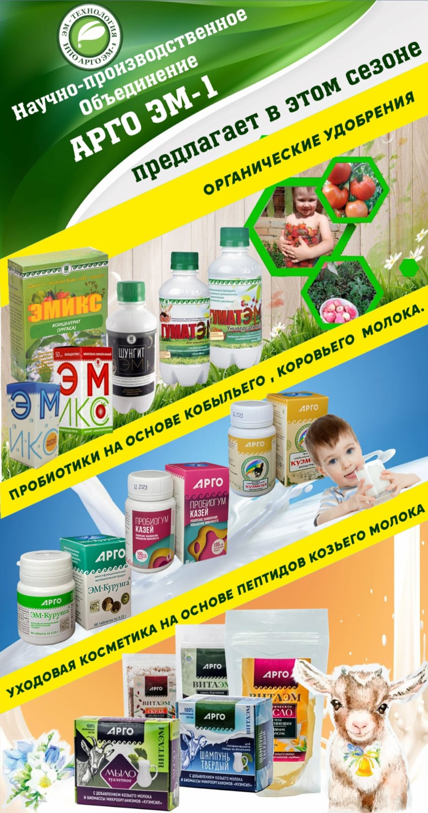 WhatsApp Image 2025-04-07 at 19.21.58.jpeg